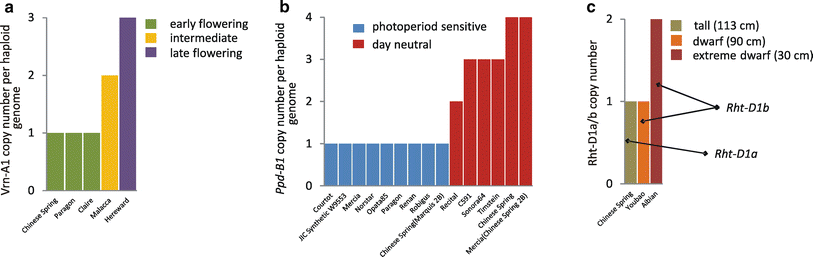 Graphs showing impact of gene copy number on phenotypes