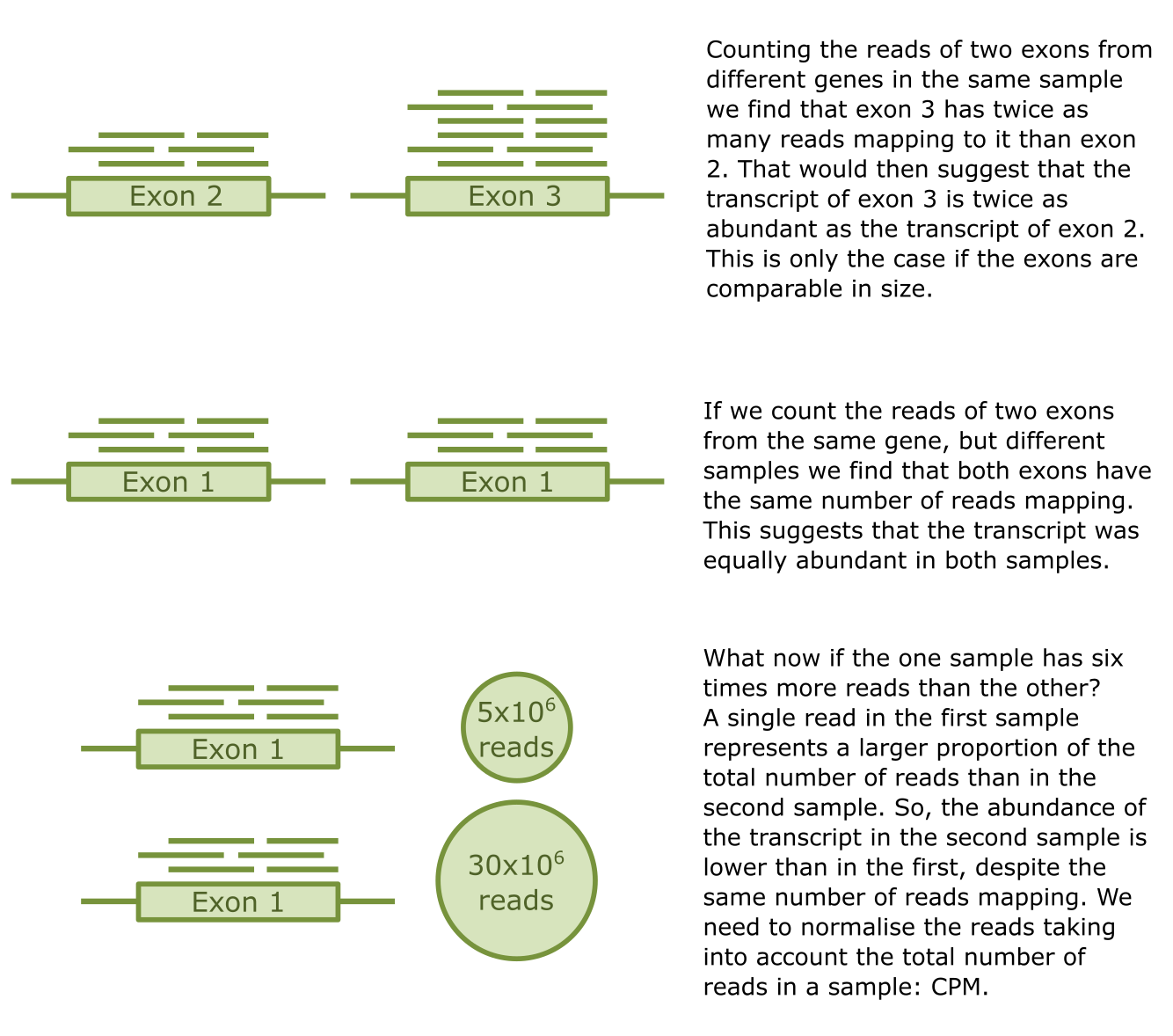 Counting reads