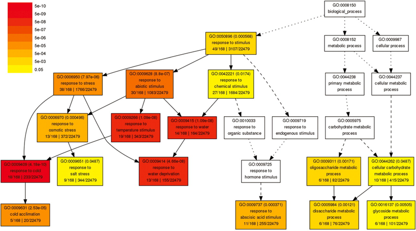 A part of the Gene Ontology