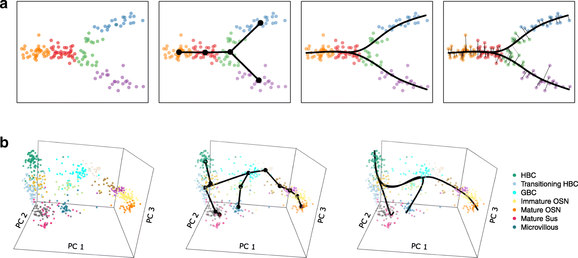 Figure showing clustering of cells with different timepoints next to each other from which a developmental trajectory can be inferred 