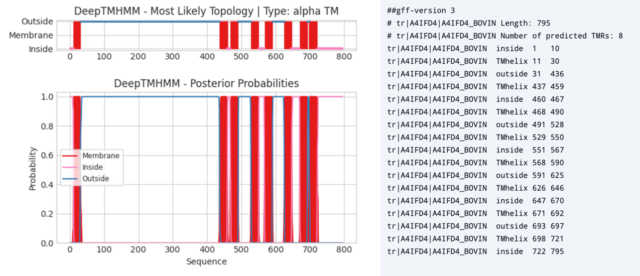 An example output of DeepTMHMM - alpha TM