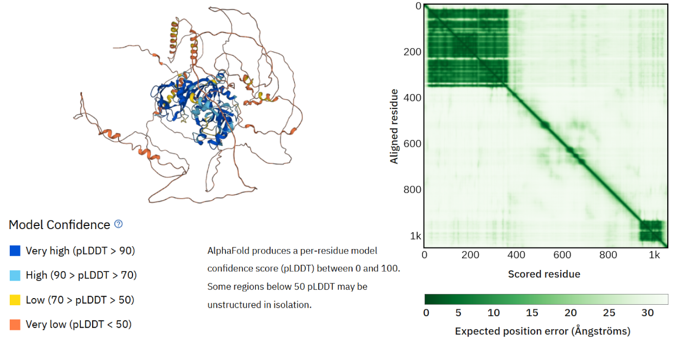 Auxin Response Factor 16 structural prediction