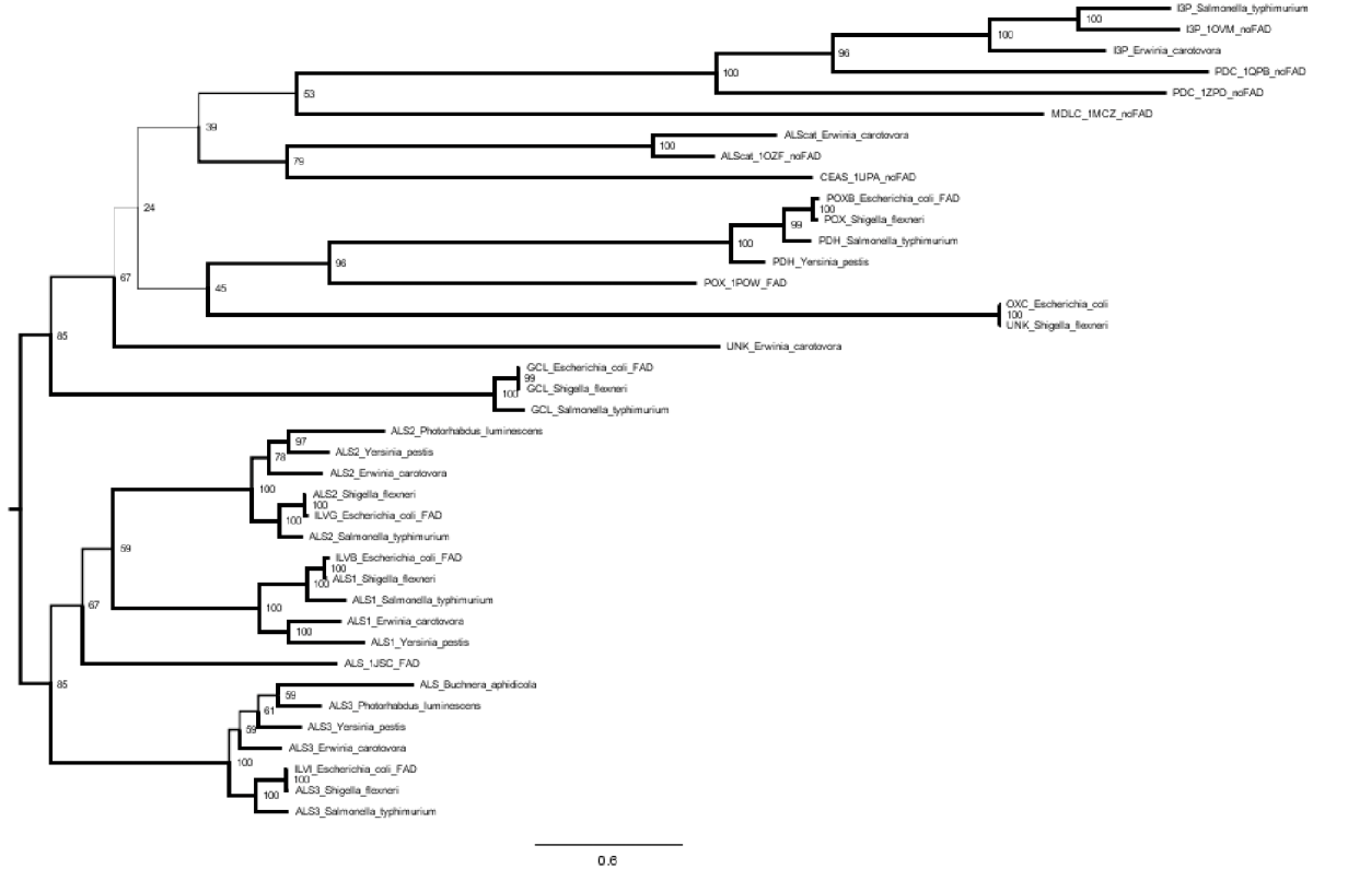 Original alignment tree.