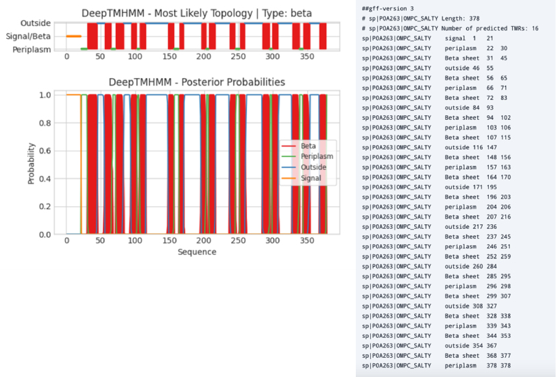An example output of DeepTMHMM - beta
