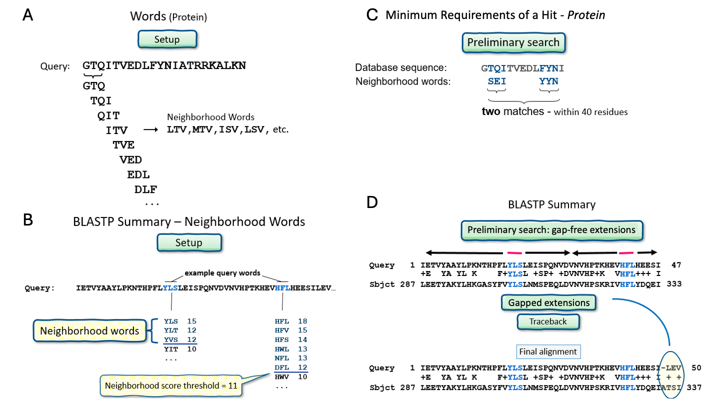 Blast overview