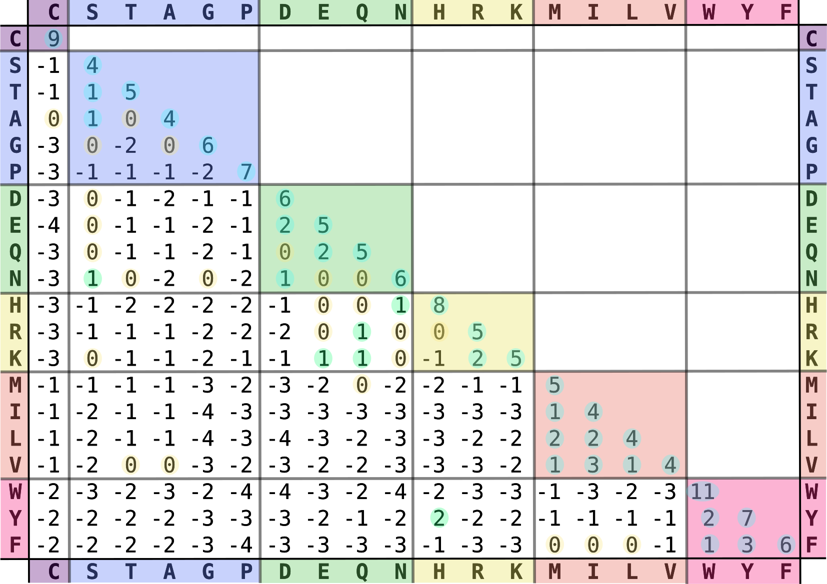 Blosum 62 matrix