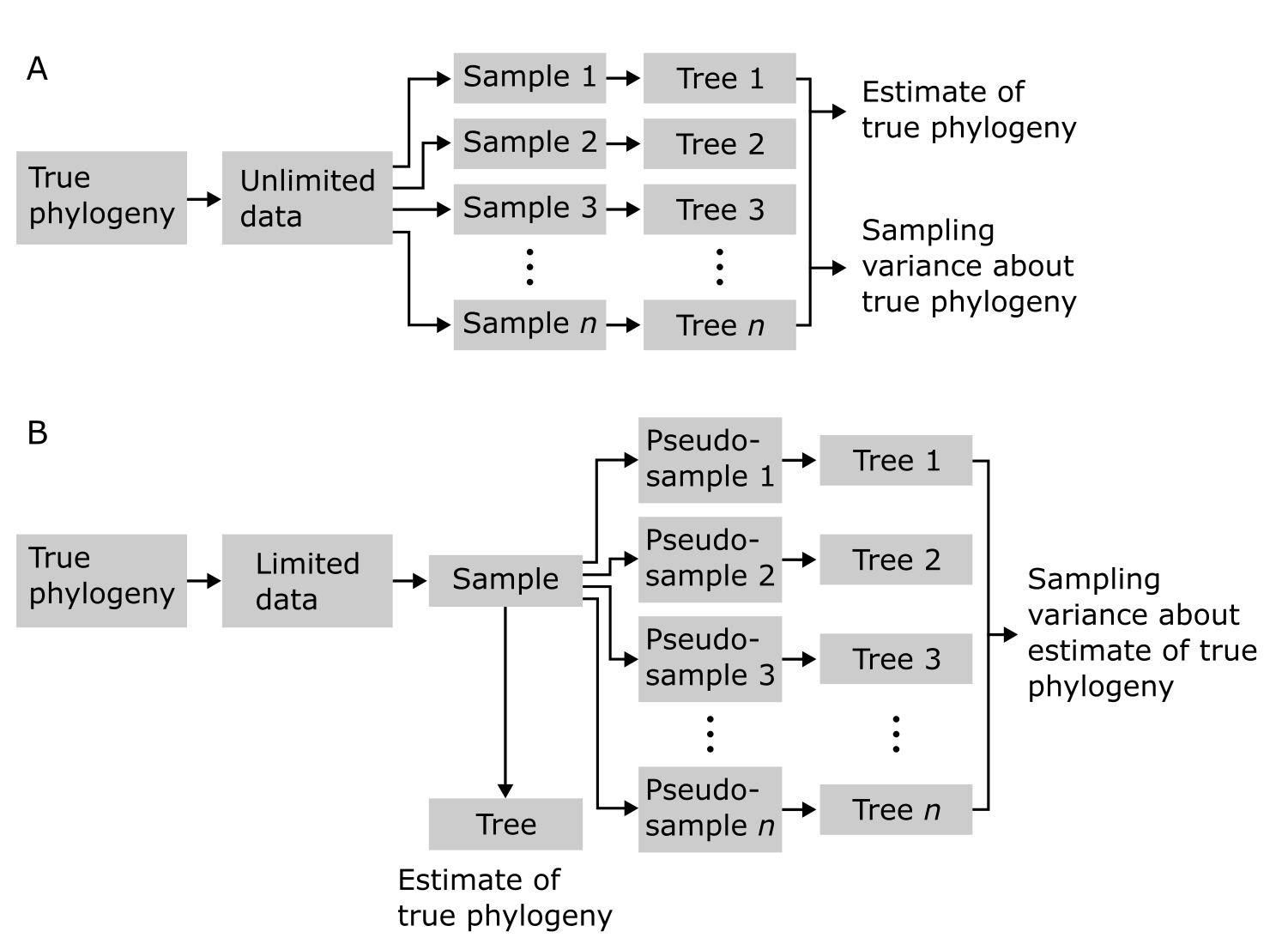 Comparison between an unlimited and limited data bootstrap resampling analysis approach.