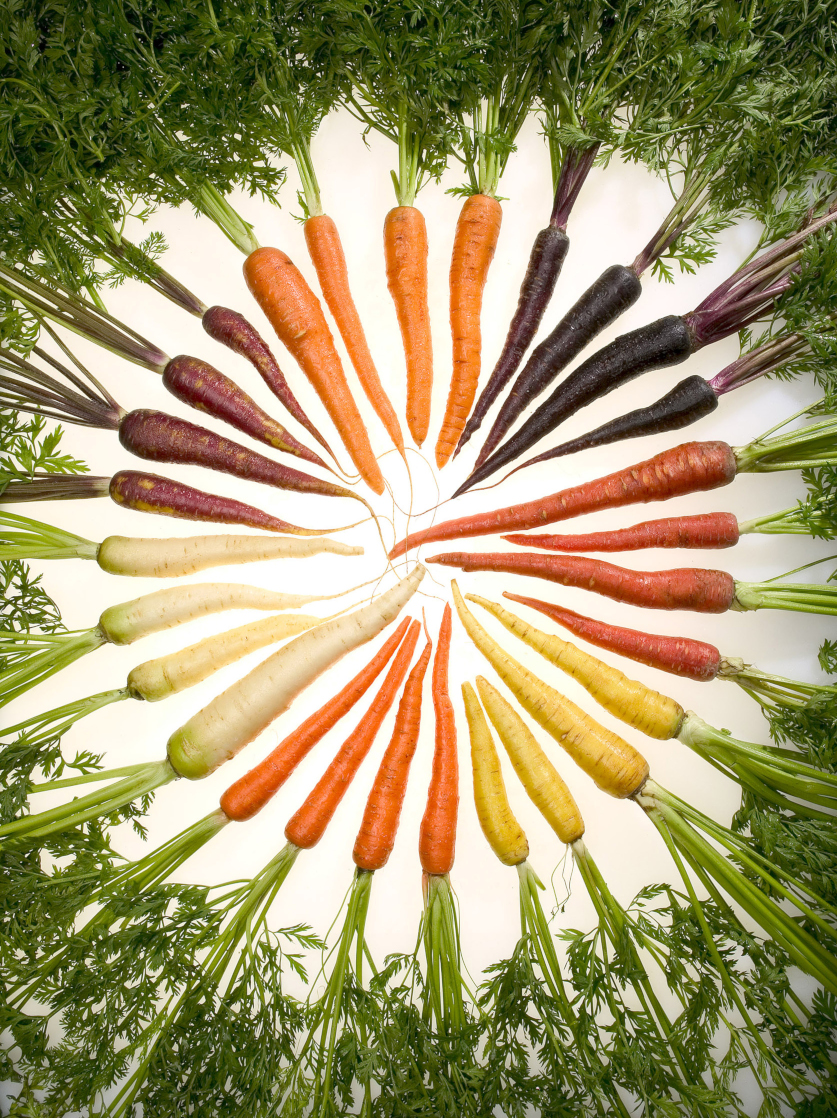carrot phenotypic diversity