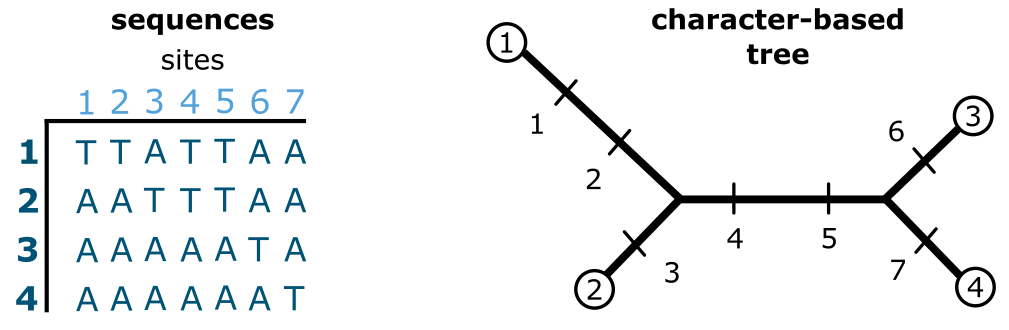 Character-based tree building.