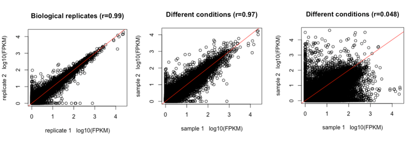 Comparison of differences between replicates and conditions