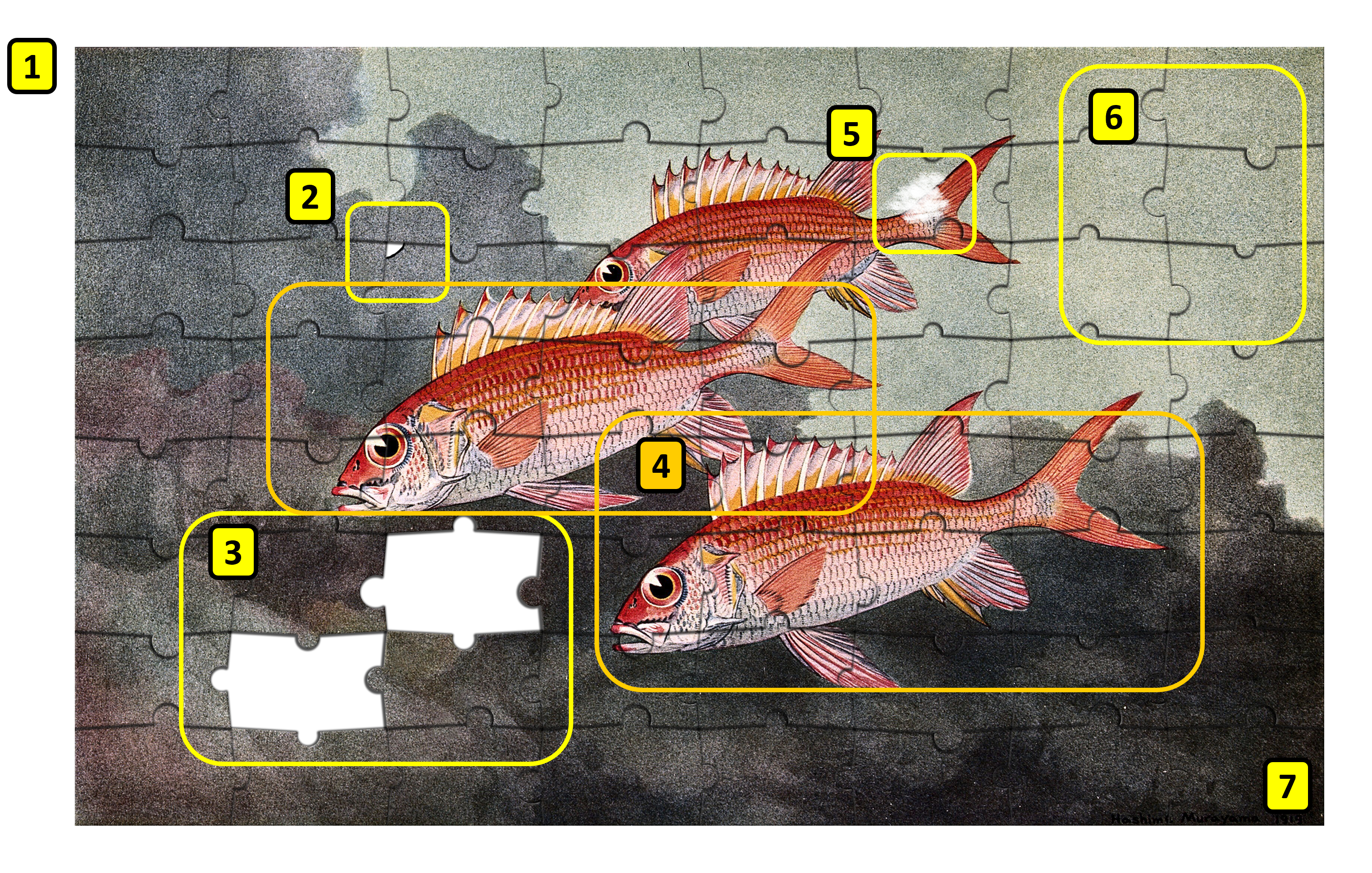 The assembly problem as a jigsaw puzzle