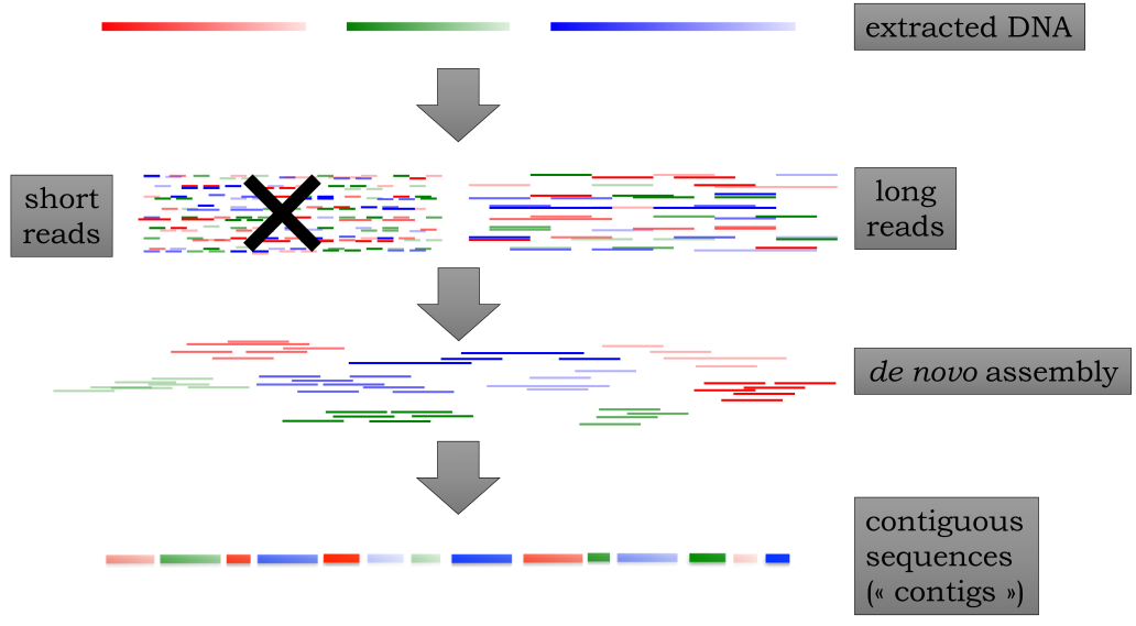 WGS using short reads