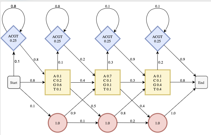 DNA profile HMM with three positions and three states (match, insertion, deletion)