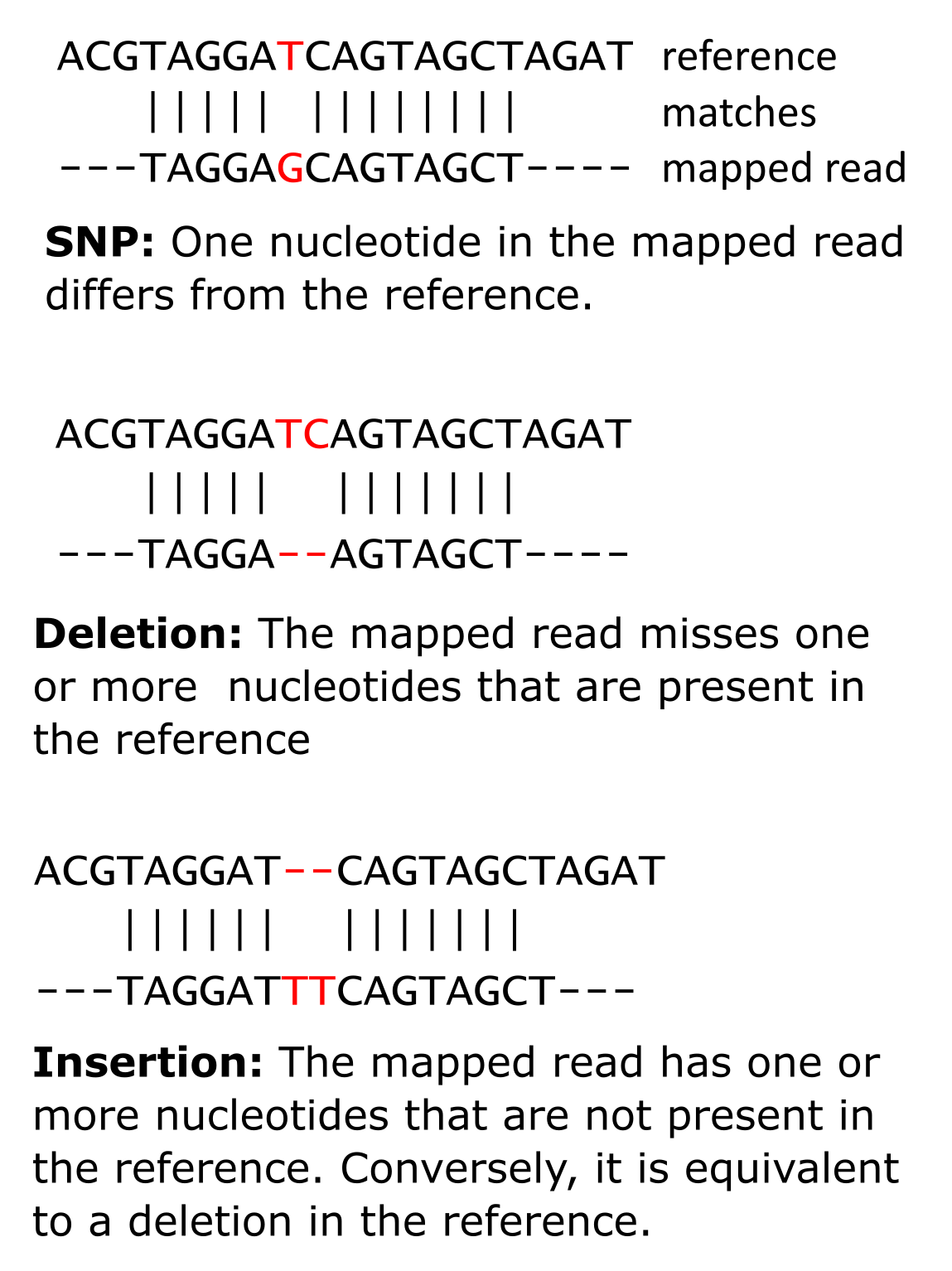 Depictions of an SNP, insertions, and deletions.