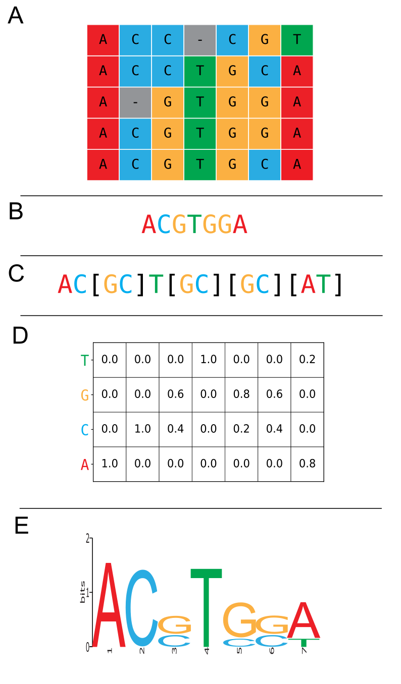 Various representations of a motif