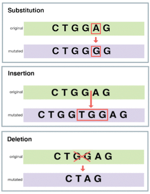 Types of mutations