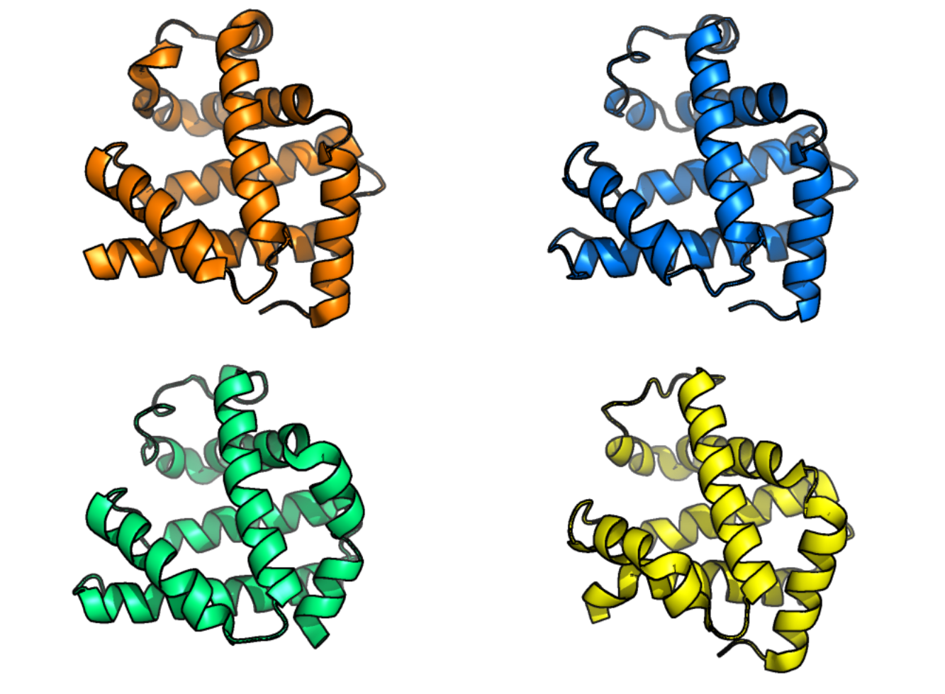 Different protein structures