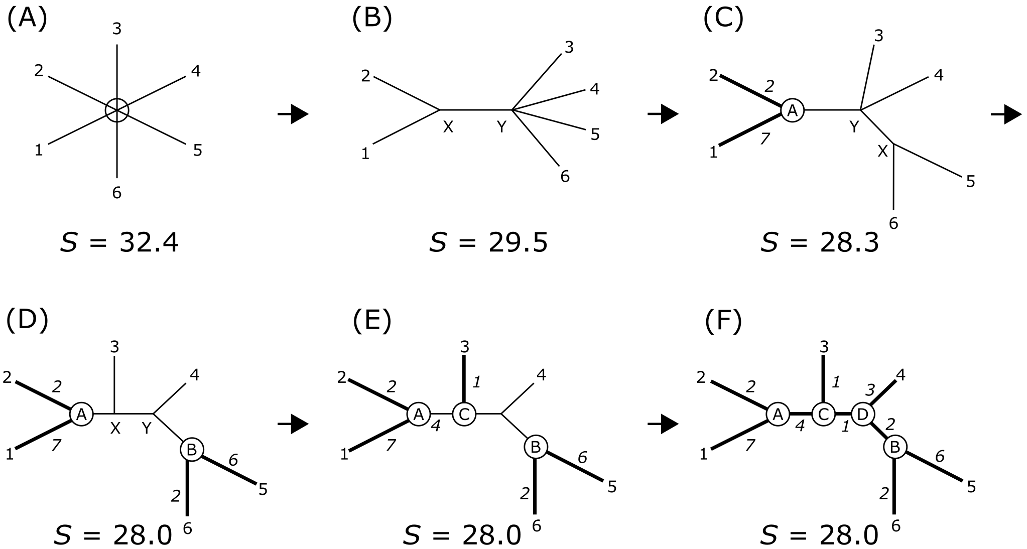 Stepwise process involved in the neighbor joining computational process.