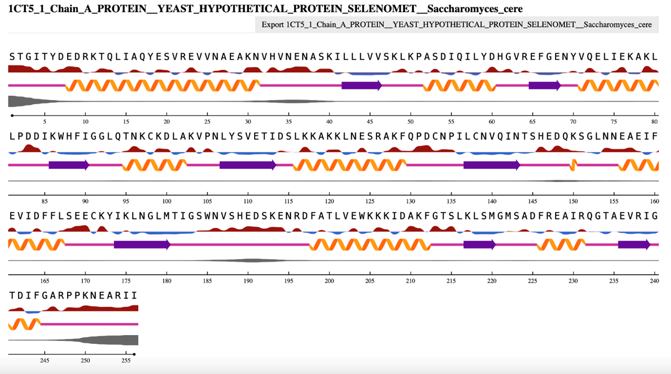 NetsurfP output for a yeast protein
