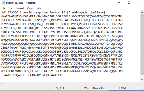Notepad editor