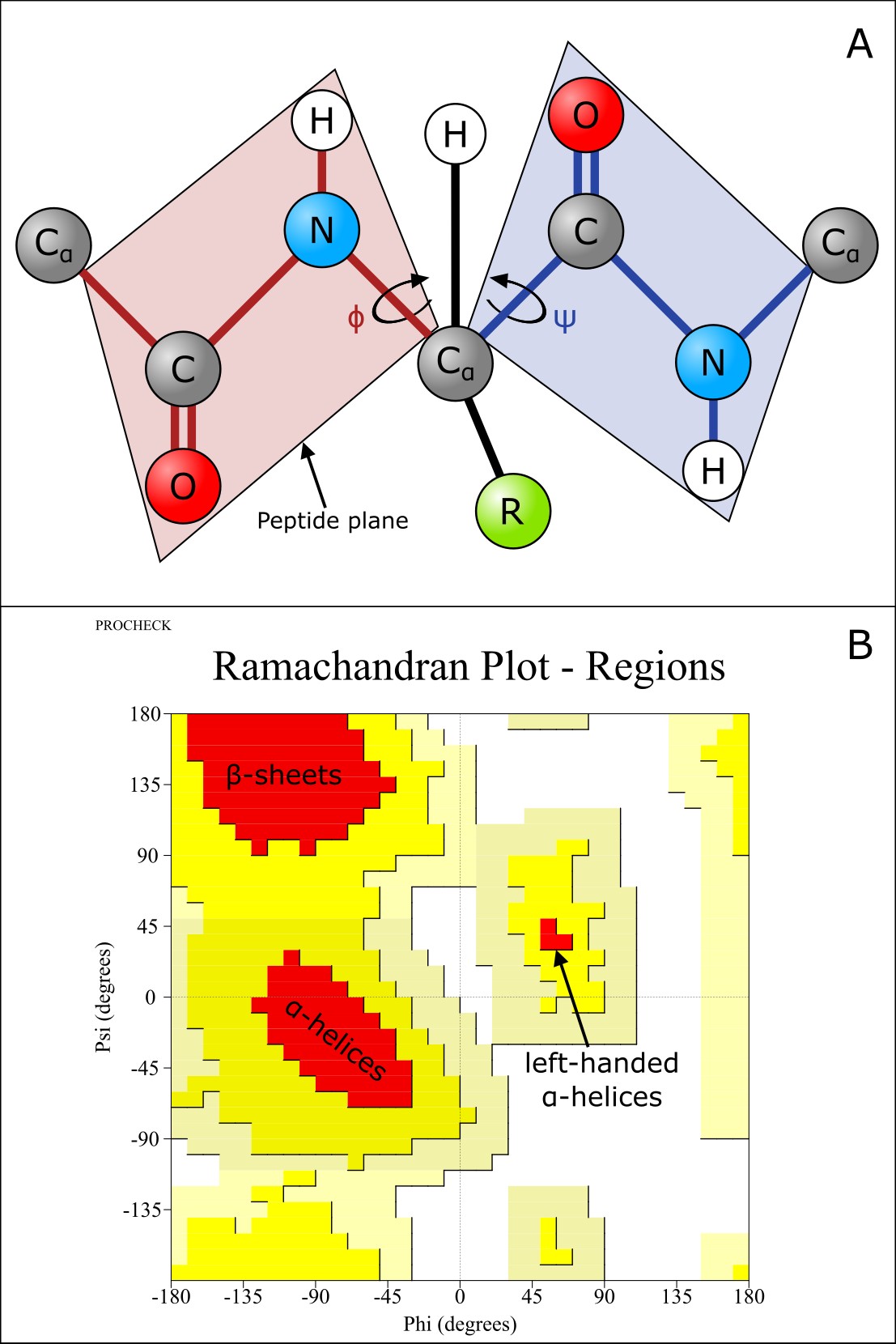 Phi, psi, and Ramachandran plot