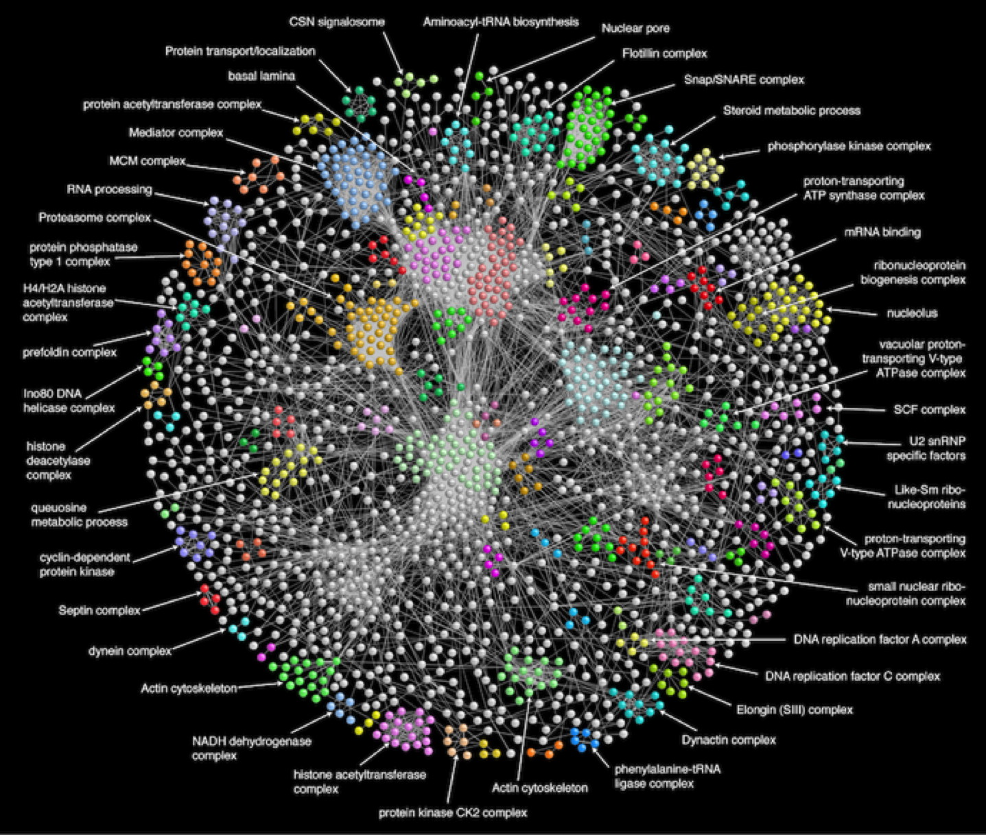 Example protein interaction network