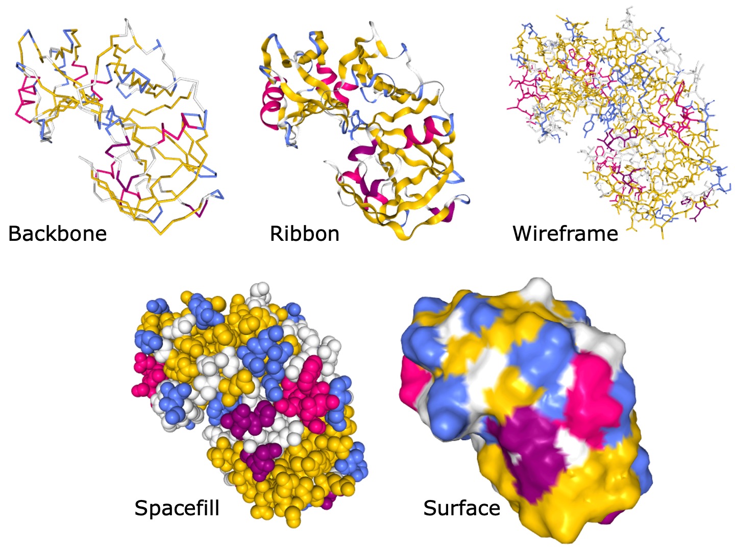 Protein representation