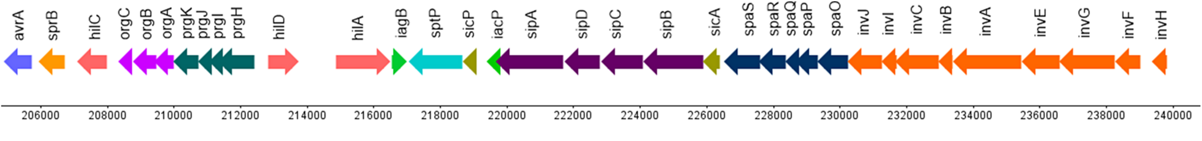 Salmonella enterica subsp. enterica serovar Stanley genetic organization of virulence factors in SPI-1