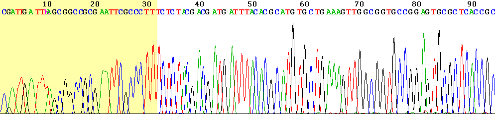 Sanger sequencing signal