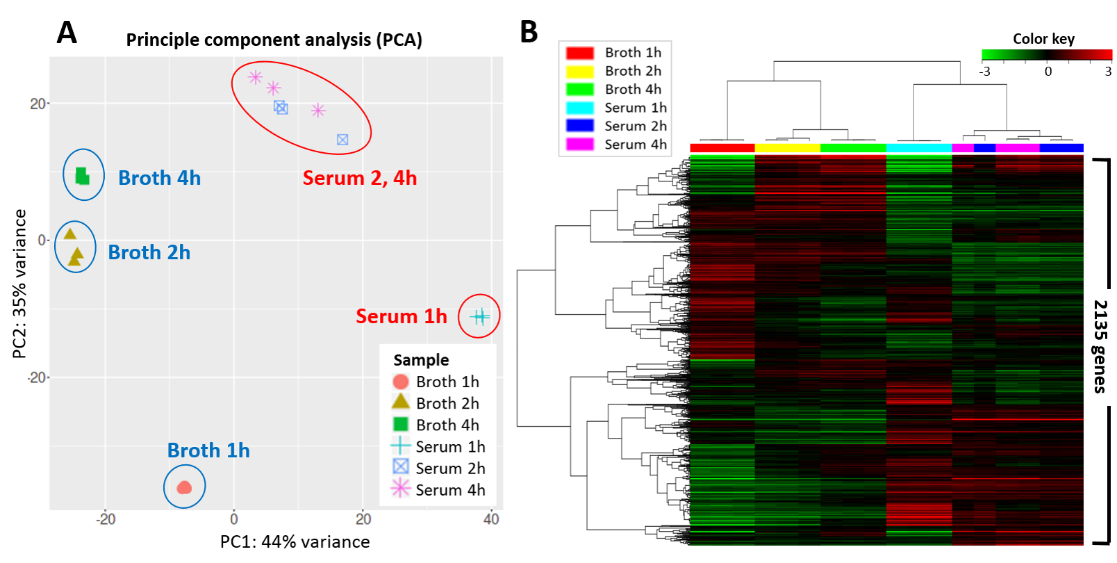 PCA plot and heatmap of simple bacterial transcriptomics dataset