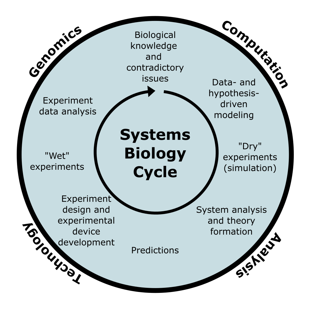 The systems biology cycle